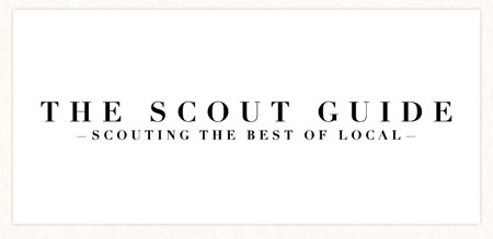 blog_logo_TheScoutGuide