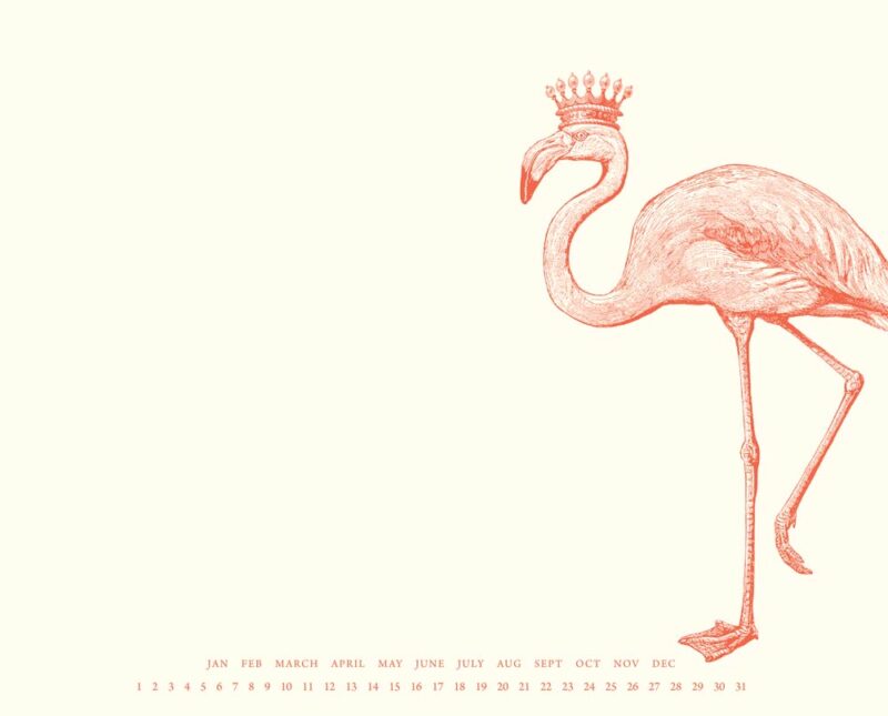 mp39-Royal-Flamingo-Mousepad-Notepad