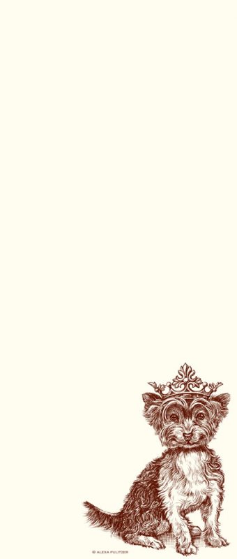 p249-Royal-Yorkshire-Terrier-Long-Pad