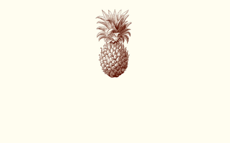 pc026-Pineapple-Place-Card