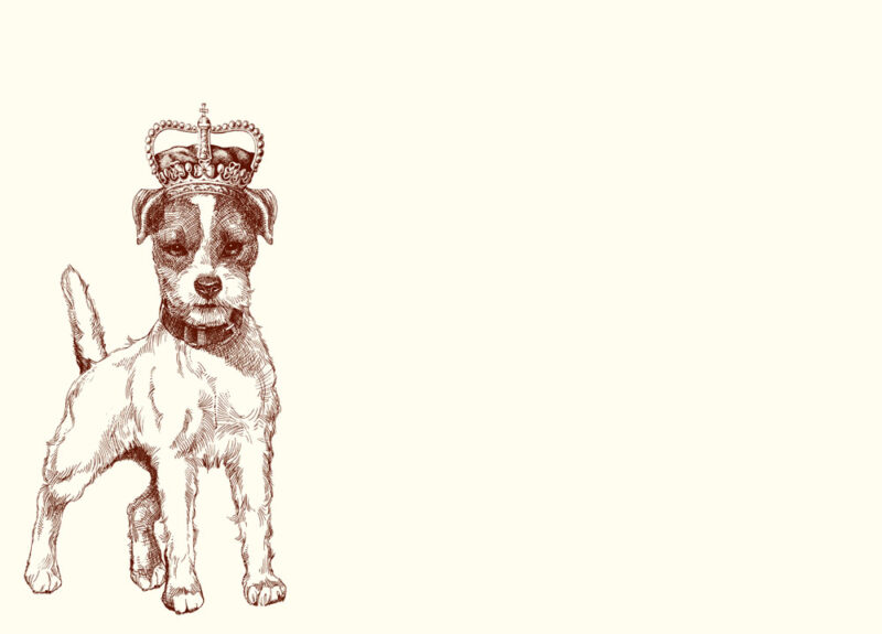 n358-Royal-Jack-Terrier-A6-Note