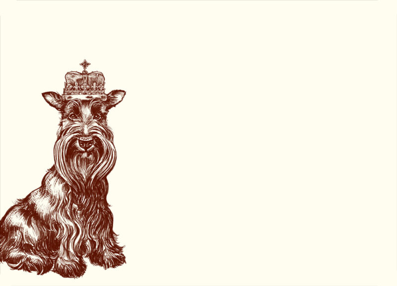 n359-Royal-Scottish-Terrier-A6-Note