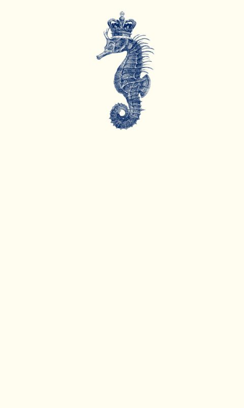 tc61-Royal-Seahorse-Thinking-Card