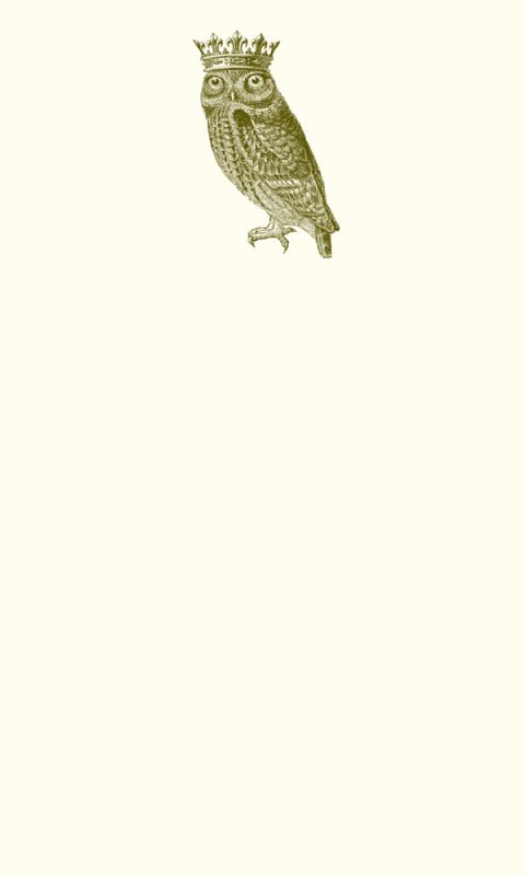 tc64-Royal-Owl-Thinking-Card