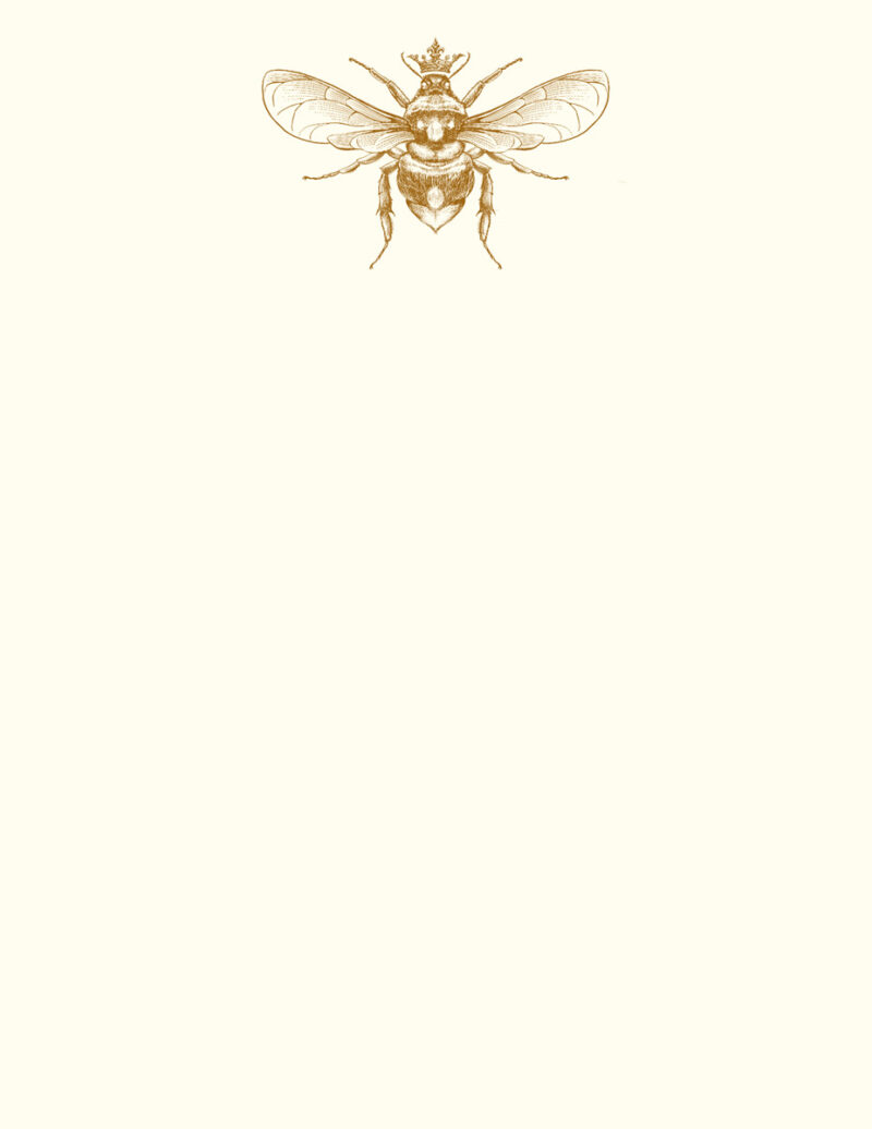 Queen-Bee-A2-Notes-n411