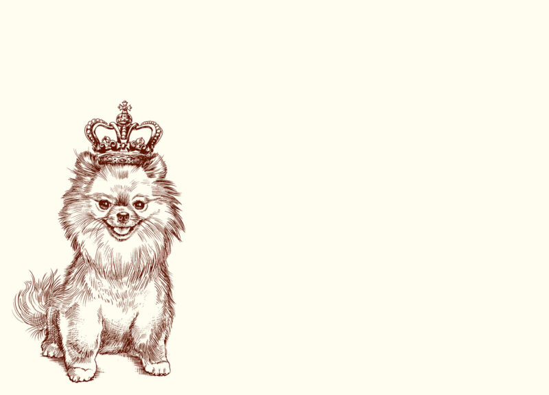 Royal-Pomeranian-A6-Notes-n412