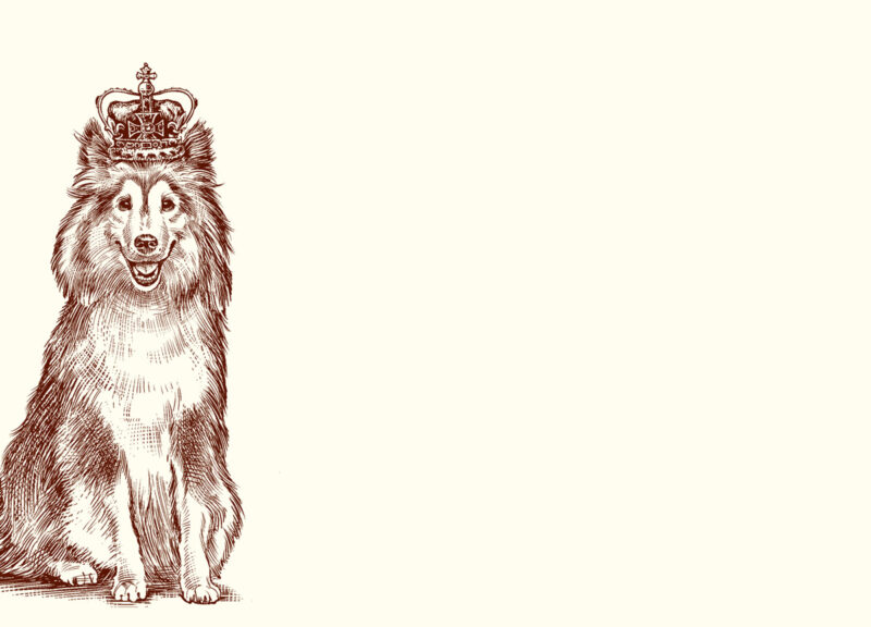 Royal-Sheltie-A6-Notes-n414