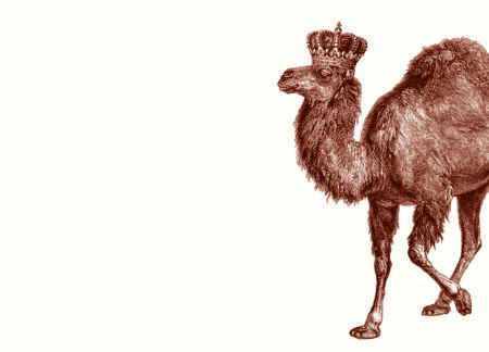 Royal Camel A6 Notes - Pre-Order - Available July 31st