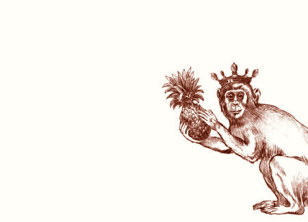 Royal Monkey A6 Notes - Pre-Order - Available July 31st
